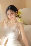 本质法令办事人才